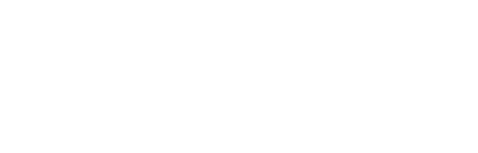 VECTURA GROUP — livraison de marchandises